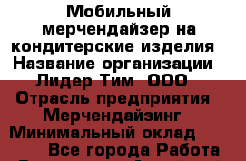 Мобильный мерчендайзер на кондитерские изделия › Название организации ­ Лидер Тим, ООО › Отрасль предприятия ­ Мерчендайзинг › Минимальный оклад ­ 27 800 - Все города Работа » Вакансии   . Алтайский край,Славгород г.